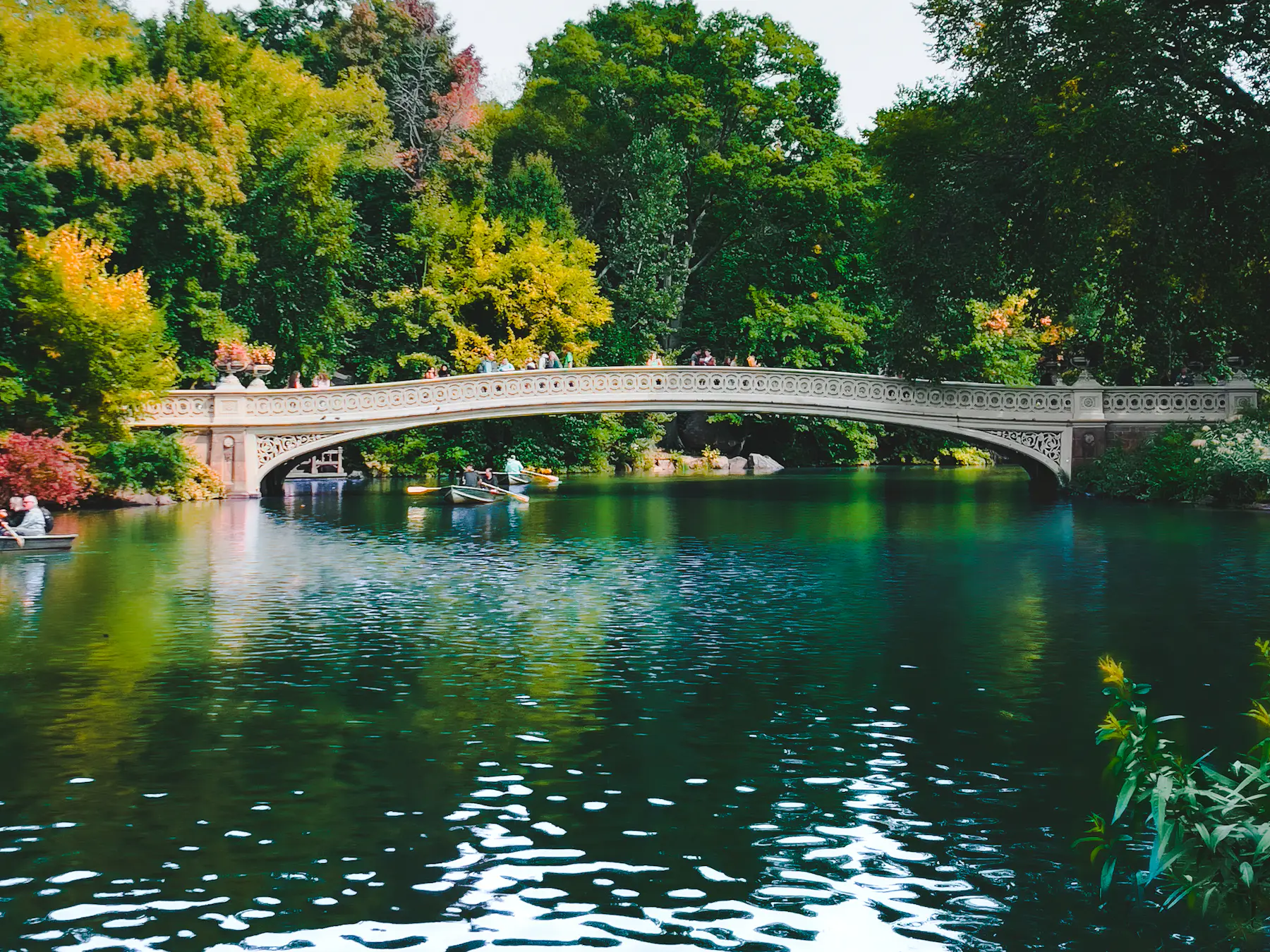 Rowboats under Bow Bridge in Central Park, New York