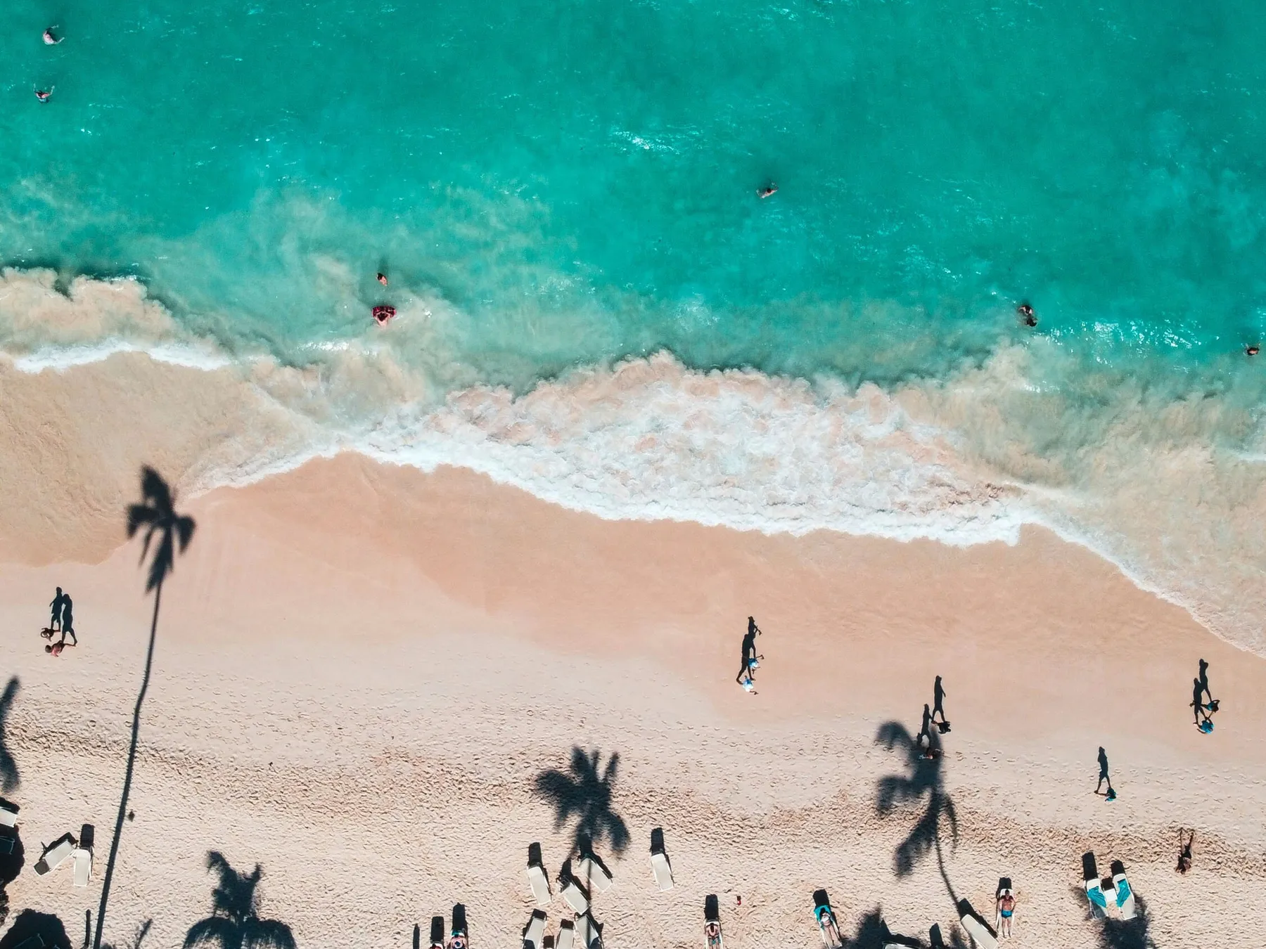 Drone view of palm shadows, loungers and turquoise surf on a Punta Cana beach